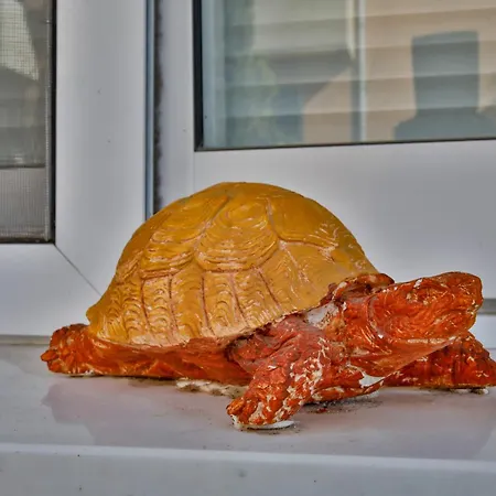 Casa Del Sol Townhouse In Iris Village Semesterbostad Paphos